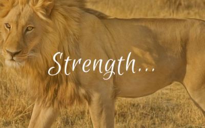 Strength