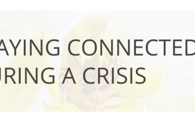 Staying Connected During a Crisis