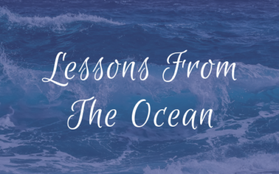 Lessons From The Ocean