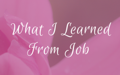 What I Learned From Job